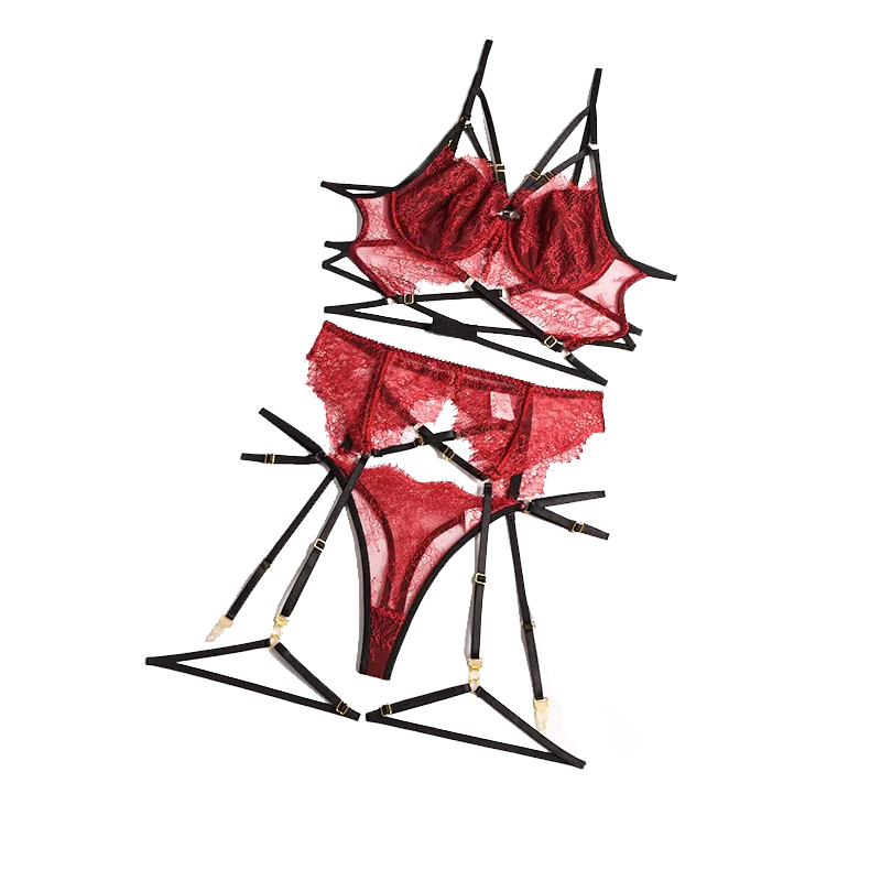 New Lace Sexy Lingerie Transpa - Lace Bralette Set 评论和价格